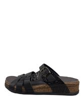 Load image into Gallery viewer, Biotime CALEDON (Final Sale)
