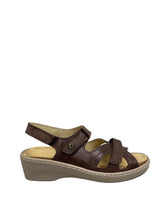 Load image into Gallery viewer, Biotime AKI (Final Sale)
