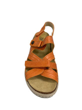 Load image into Gallery viewer, Biotime AKI (Final Sale)
