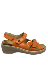 Load image into Gallery viewer, Biotime AKI (Final Sale)
