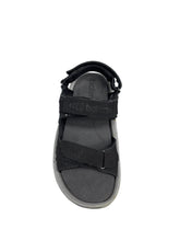 Load image into Gallery viewer, Biotime LEXI (Final Sale)
