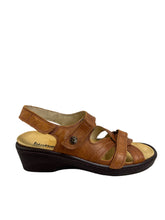 Load image into Gallery viewer, Biotime AKI (Final Sale)
