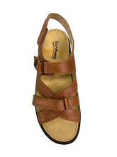 Load image into Gallery viewer, Biotime AKI (Final Sale)
