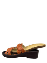 Load image into Gallery viewer, Biotime ALEGRA (Final Sale)
