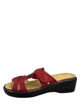 Load image into Gallery viewer, Biotime ALEGRA (Final Sale)
