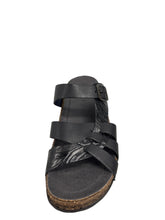 Load image into Gallery viewer, Biotime CALEDON (Final Sale)
