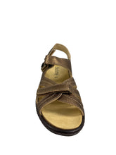 Load image into Gallery viewer, Biotime AKI (Final Sale)
