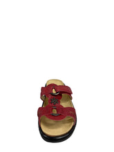 Load image into Gallery viewer, Biotime ALEGRA (Final Sale)
