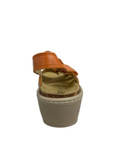 Load image into Gallery viewer, Biotime AKI (Final Sale)
