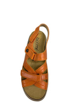 Load image into Gallery viewer, Biotime AKI (Final Sale)
