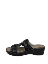 Load image into Gallery viewer, Biotime ALEGRA (Final Sale)
