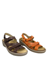 Load image into Gallery viewer, Biotime AKI (Final Sale)
