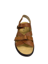 Load image into Gallery viewer, Biotime AKI (Final Sale)
